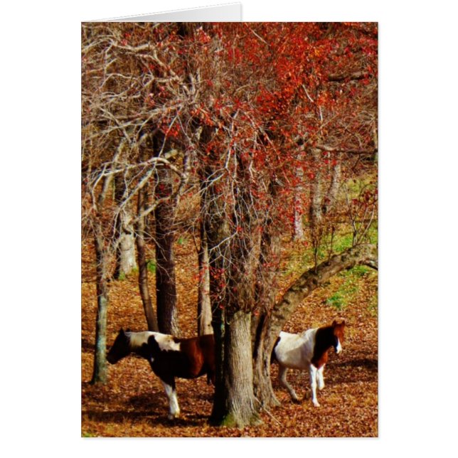 Twin Brown and White Horses Hälsningskort (Framsidan)