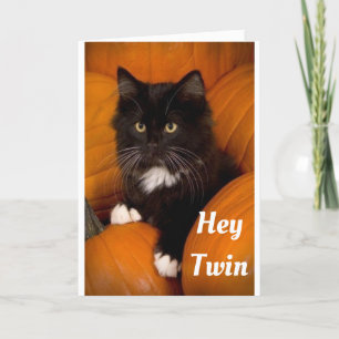 **TWIN** CUTE "BLACK CAT" FÖR DIG "GRATTIS PÅ FÖDE KORT