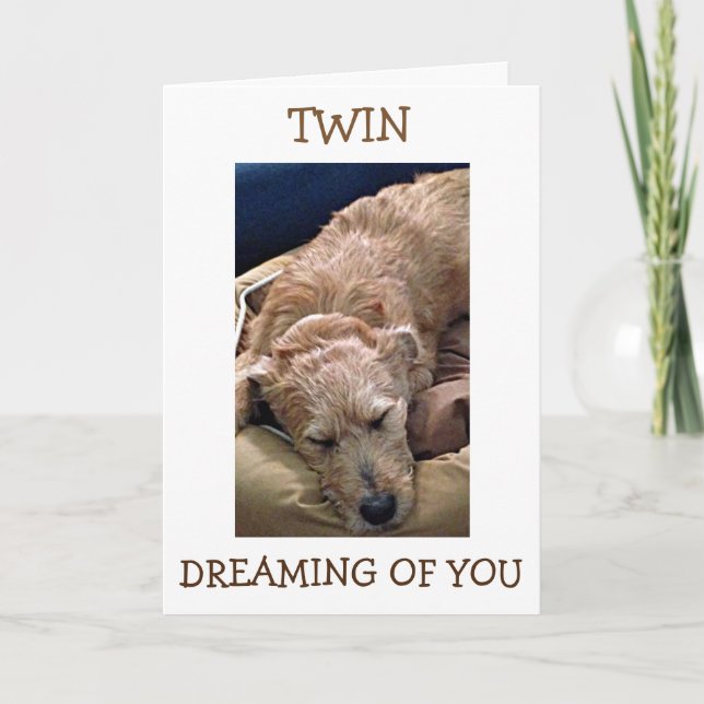 TWIN=DIN BIRTHDAY MIN TÄNKBARA TÄNKER PÅ "DU" KORT (Framsida)