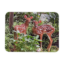 Twin Fawns Magnet