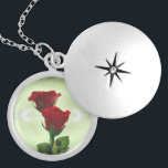 Twin Flame kärlek röd ros Silverpläterat Halsband<br><div class="desc">Röd ros symboliserar uppriktig respekt,  mod och uppriktigt passionerad kärlek. Röd är också en energikälla i färg. Blue är färg i himlar. Grönten är jordens färg. Naturen är den yttersta sanningen. Det är bara vad det är.</div>