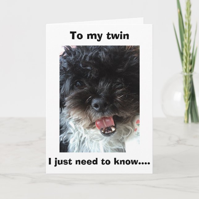 "TWIN" HUR SER VI PÅ SÅ BRA VARJE DAG? KORT (Framsida)