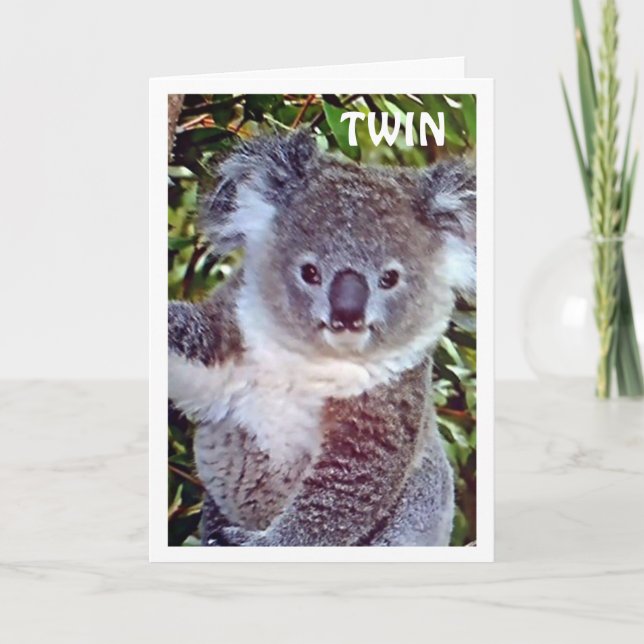 TWIN = "KOALA BIRTHDAY CARD CELEBRATE DIN DAG! KORT (Framsida)