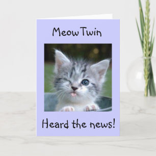 **TWIN**MEOW-FLIRTING MED 50! WOW-GRATTIS PÅ FÖDEL KORT