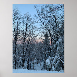 Twin Peaks Snowy Måne Poster
