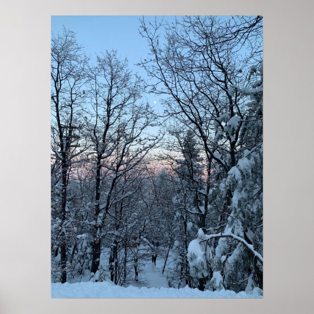 Twin Peaks Snowy Måne Poster (Framsidan)