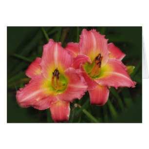 Twin Pinks - Rosa Vogue Daylilies Hälsningskort