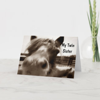***TWIN SISTER*** 40 BIRTHDAY HUMOR KORT