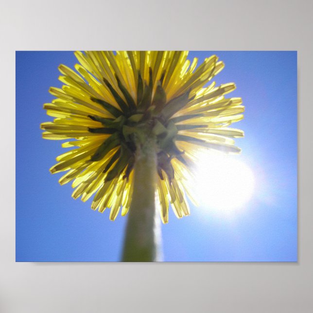 Twin Sol Poster (Framsidan)