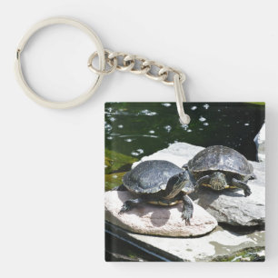 Twin Turtles -