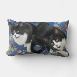 Twin Tuxedo Kittens Dekorativ kudde