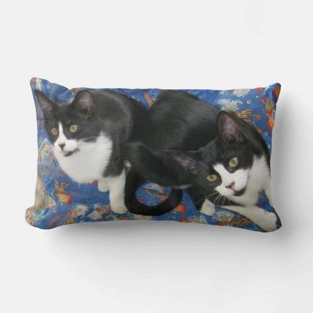 Twin Tuxedo Kittens Dekorativ kudde (Framsida)