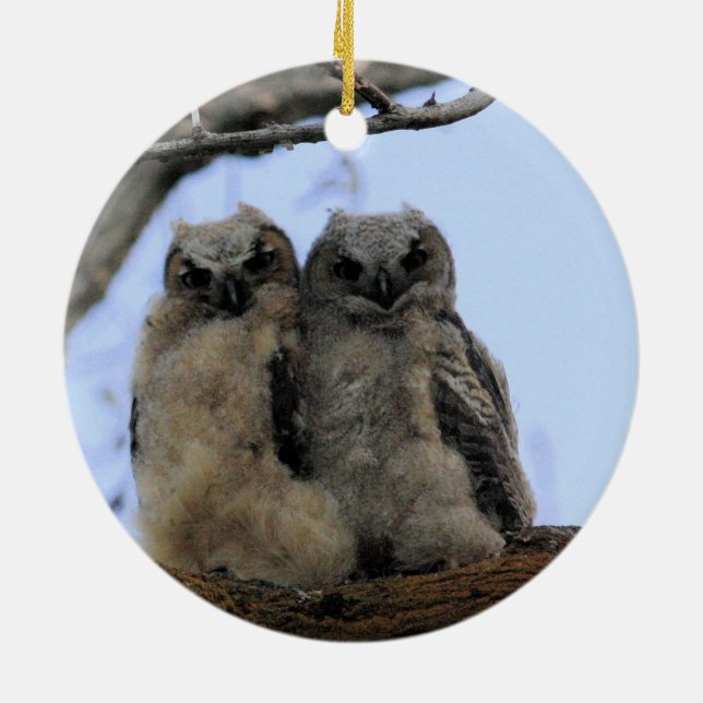 Twin Ugglor - Keramiska prydnadsföremål Julgransprydnad Keramik (Baksidan)
