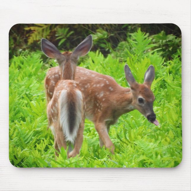 Twin White Svan Hjort Fawns Musmatta (Framsidan)