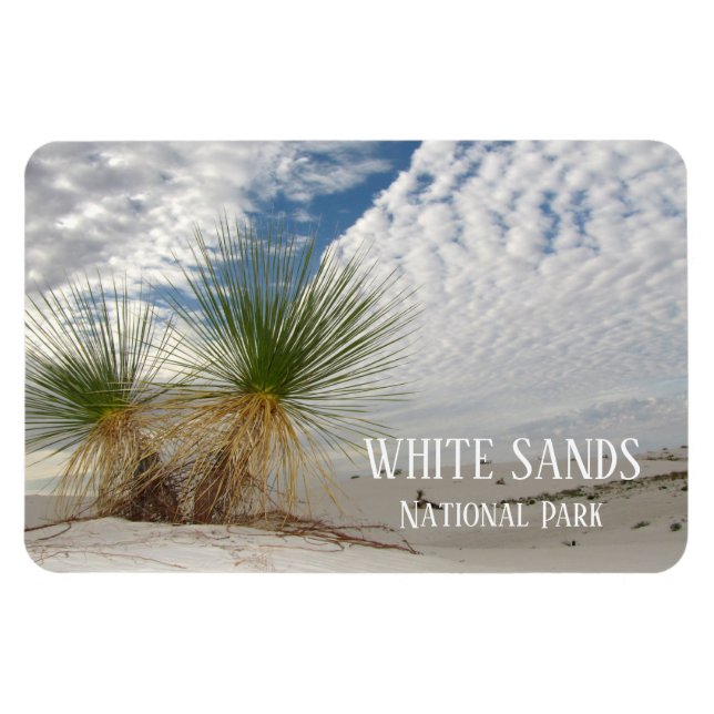 Twin Yuccas, nationalparken White Sands Magnet (Horisontell)