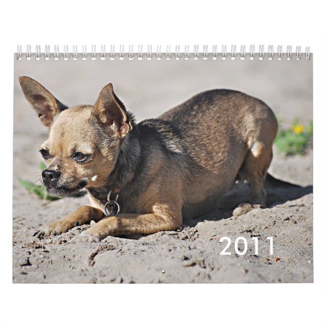 Twinkies 2011 akademiska kalender (Omslag)