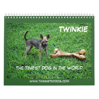 TWINKIES KALENDER