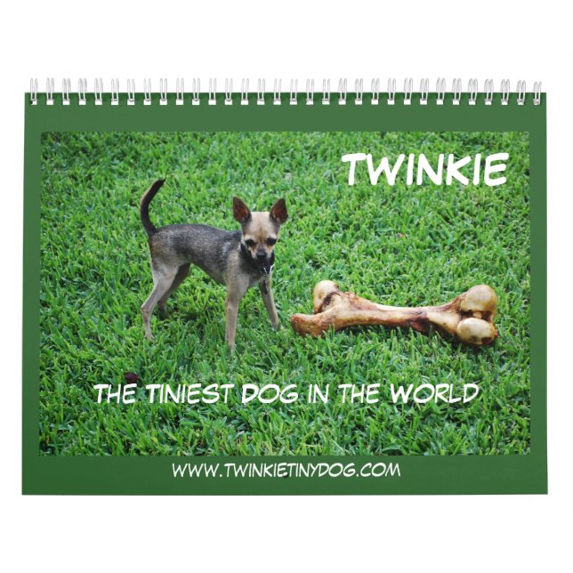 TWINKIES KALENDER (Omslag)