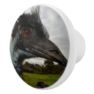 "Twinkle in the Öga: An Emu's Nyfiken Gaze" Knopp