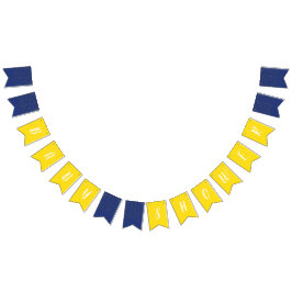 Twinkle Little Star Baby Shower Bunting Flaggor