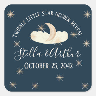 Twinkle Little Star Gender Reveal-Celestial Party Fyrkantigt Klistermärke