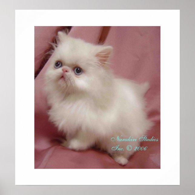 TWINKLE LITTLE STAR POSTER (Framsidan)