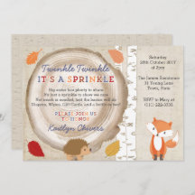 Twinkle Sprinkle Dikt, Second Baby Party for Boy