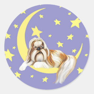 Twinkle Twinkle Shih Tzu Runt Klistermärke