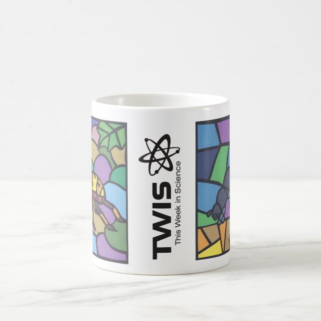 TWIS #blairsanimaleye Beetle Mania Mugg (Center)