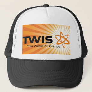 TWIS-truckerkeps Keps