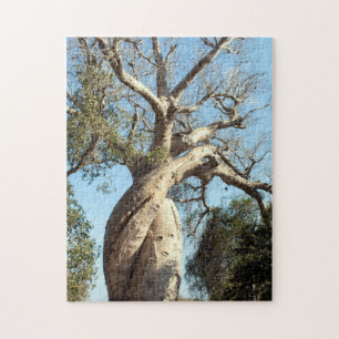 Twisted baobab träd, Madagaskar Pussel