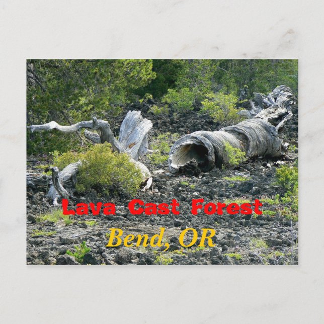 Twisted Destruction Vykort (Framsida)