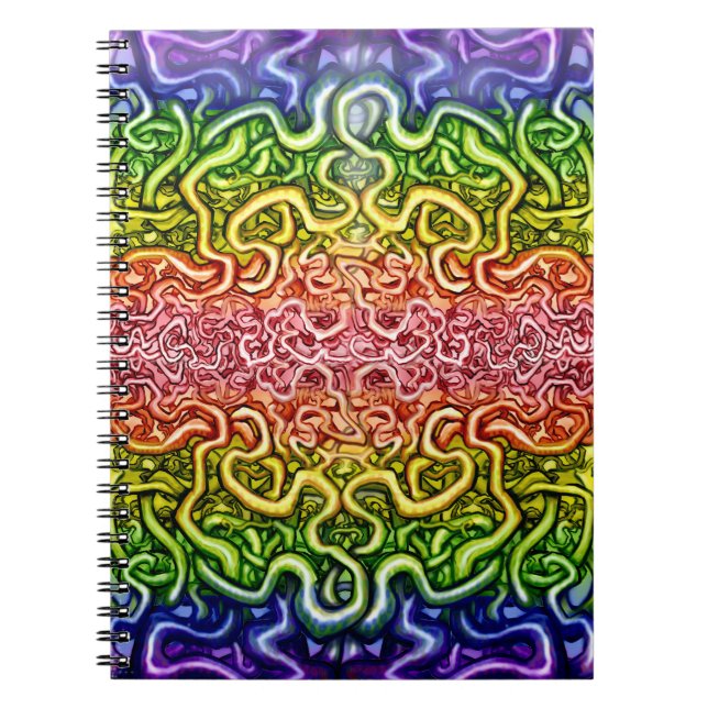 Twisted Dubbla Rainbow Anteckningsbok (Framsidan)