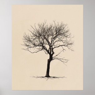 Twisted Gnarled old träd minimalistisk linjekonst Poster