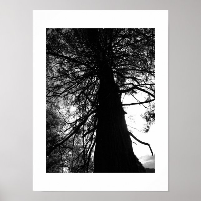 Twisted Grenar Yosemite Black and White Photo Poster (Framsidan)