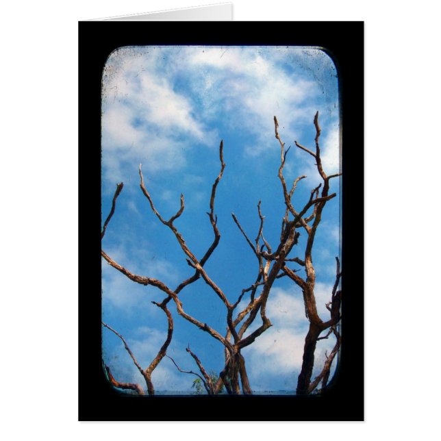 Twisted Hälsningskort (Framsidan)