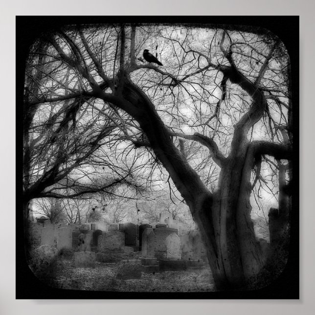 Twisted Poster (Framsidan)