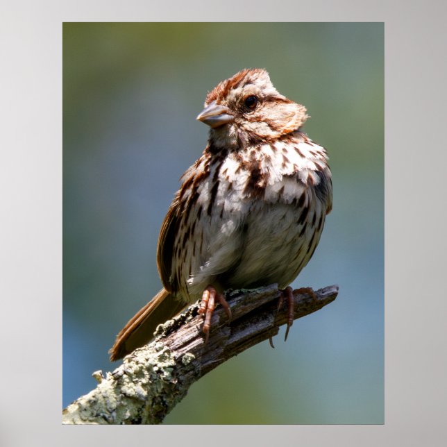 Twisted Poster (Framsidan)