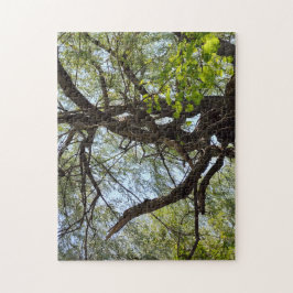 Twists och Curved Willow Träd Pussel