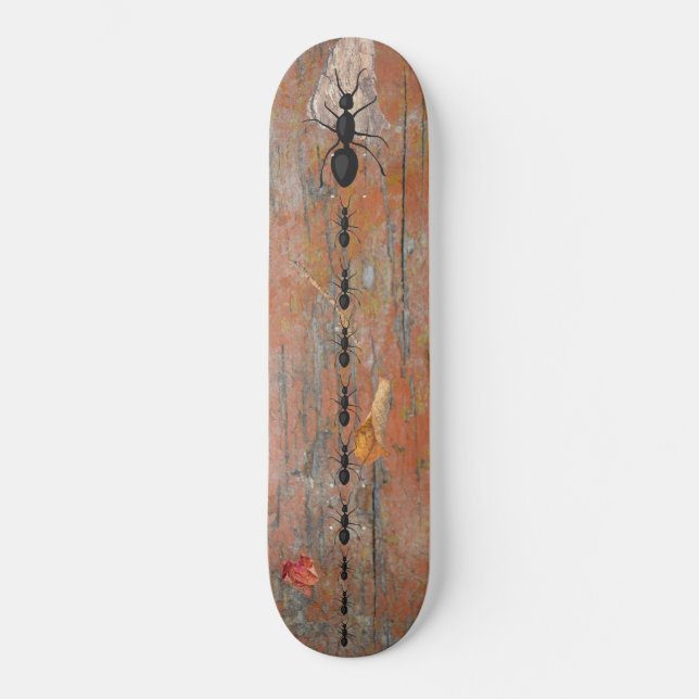 Twitter av träbark följer Leader Maple Lövs Twig Mini Skateboard Bräda 18,5 Cm (Framsida)