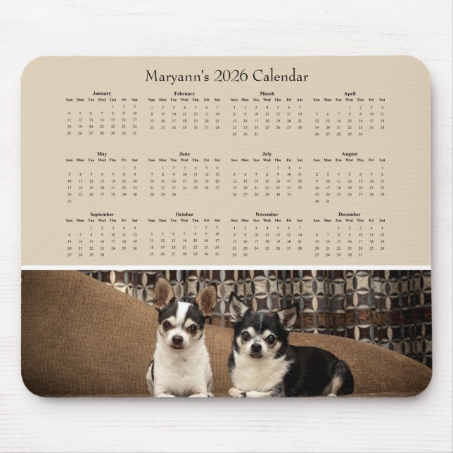 Two Adorable Chihuahuas on a Sofa – 2026 Calendar Musmatta (Framsidan)