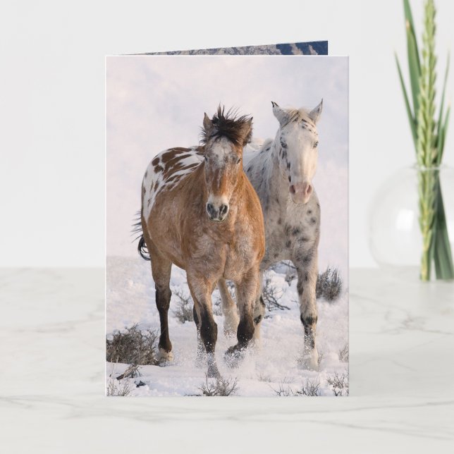 Two Appaloosas Greeting Card Inbjudan (Framsida)