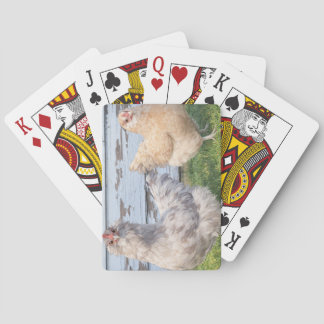 Two Chickens Poker Cards – Cute Farm Animal Play Casinokort