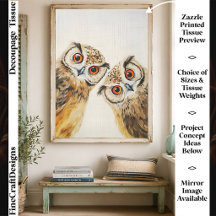 Two Curious Cute Whimsical Wide Eyed Owls FW9L