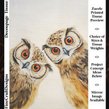 Two Curious Cute Whimsical Wide Eyed Owls FW9R