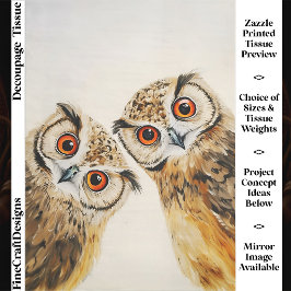 Two Curious Cute Whimsical Wide Eyed Owls FW9R
