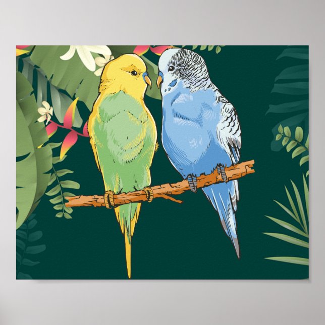 Two cute blue and green Budgies Poster (Framsidan)