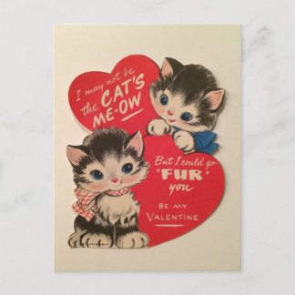 Two Cute Kittens Vintage Valentine Postcard Vykort