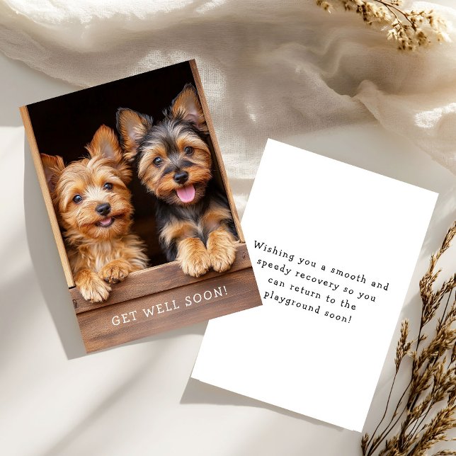 Two Cute Playful Yorkies Get Well Soon Kort (Skapare uppladdad)