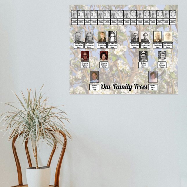 Two Family Trees on White Blossoms Photo     Poster (Skapare uppladdad)